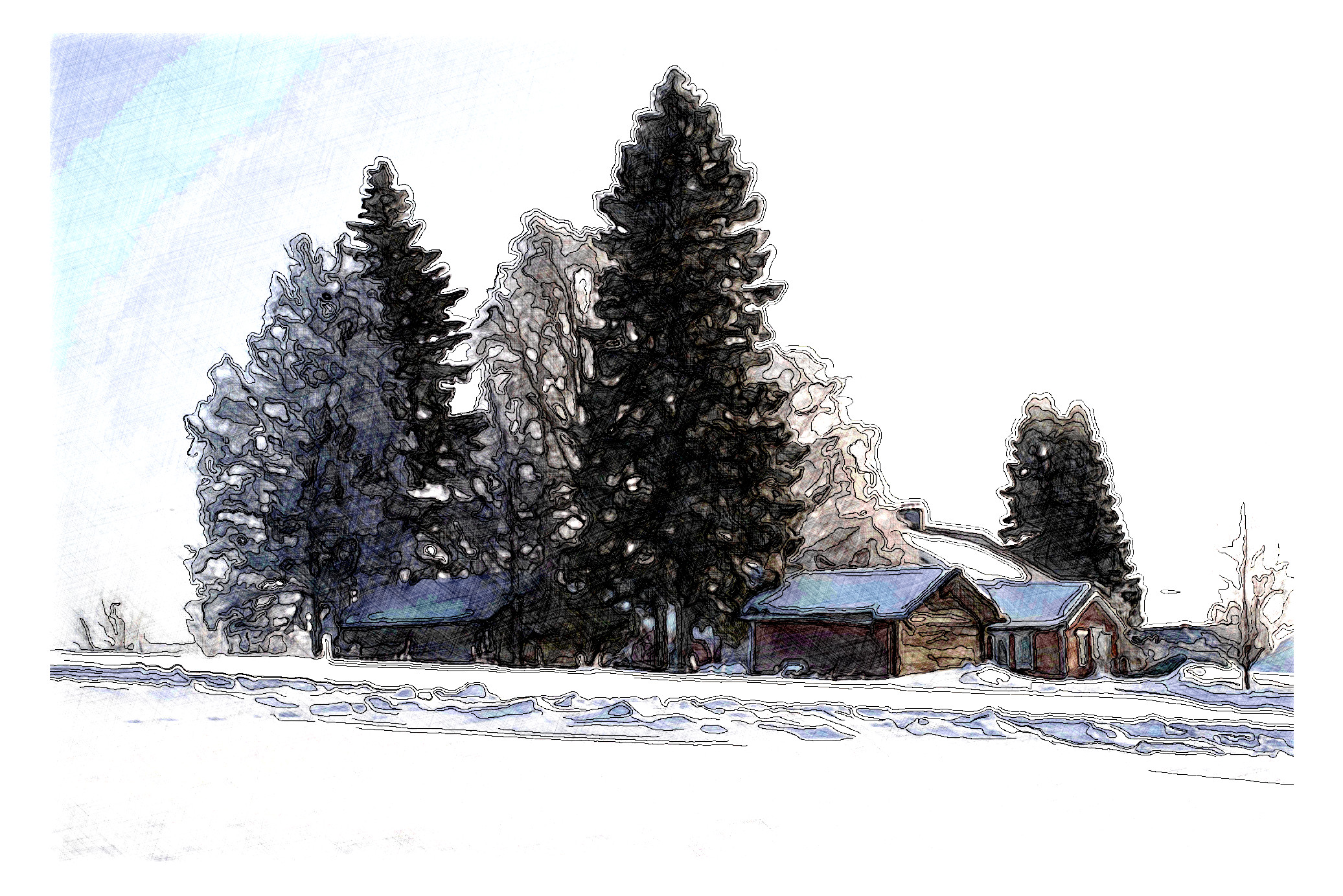 2024-01-03 16-17-26 trees-7847683_1920 with a Drawing Effect (False,9,8)_J_I.jpg