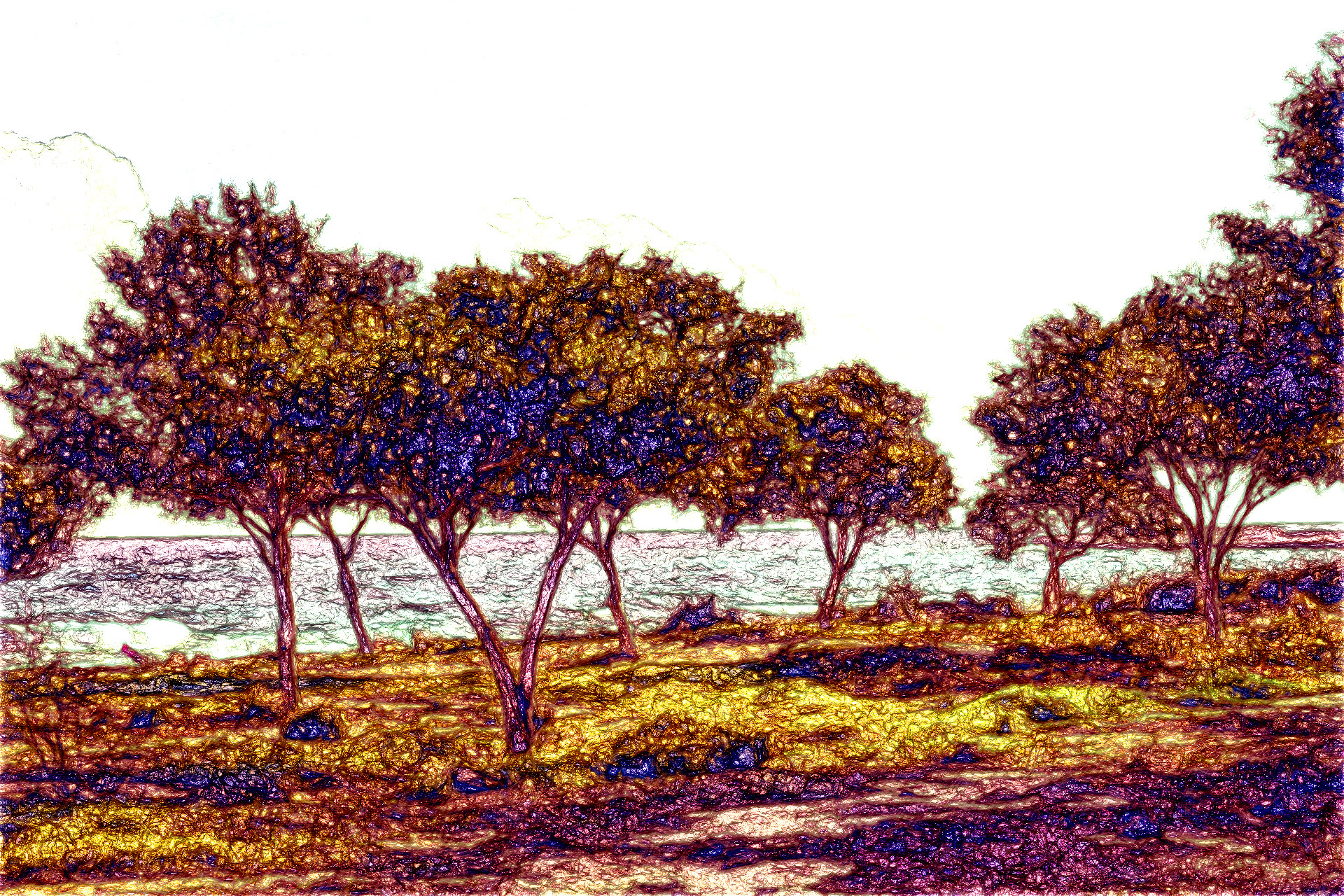 2024-01-06 15-35-54 coppice-2060912_1920 with a Drawing Effect (True,6,5).jpg