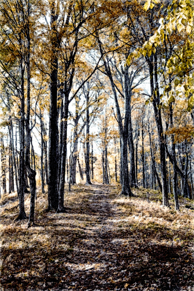 2024-01-07 18-23-21 andrew-neel-a_K7R1kugUE-unsplash with a Drawing Effect (True,0,0).jpeg