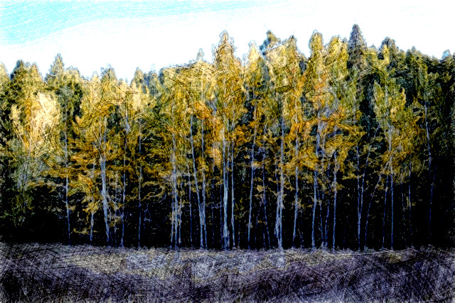 2024-01-07 18-29-39 collie-coburn-3tdvWoNxvbw-unsplash with a Drawing Effect (True,0,0).jpeg