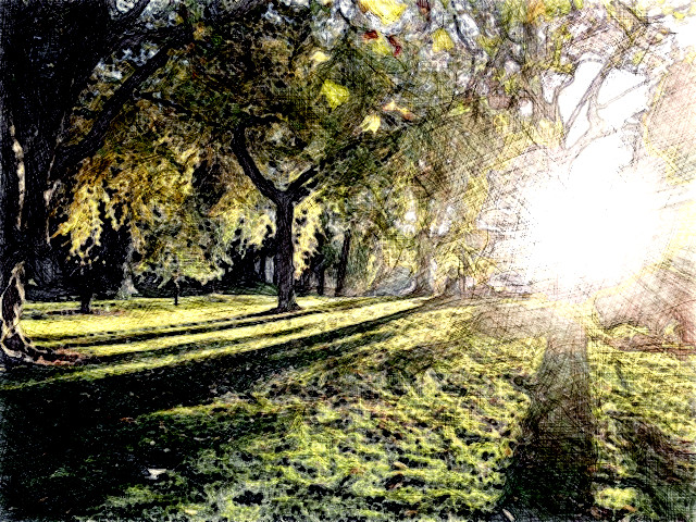 2024-01-07 18-31-58 madison-nickel-_8IxiAYWoGE-unsplash with a Drawing Effect (True,0,0).jpeg
