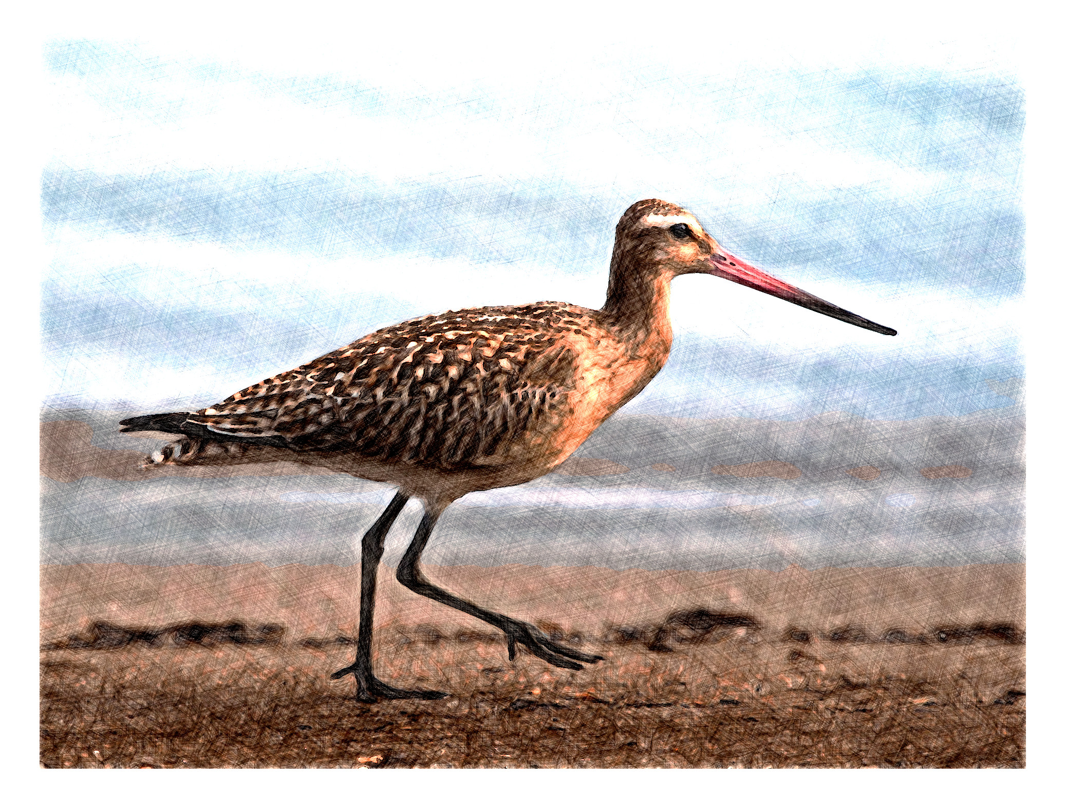 2024-01-07 11-53-11 bird-944883_1920 with a Drawing Effect (True,2,0).jpg