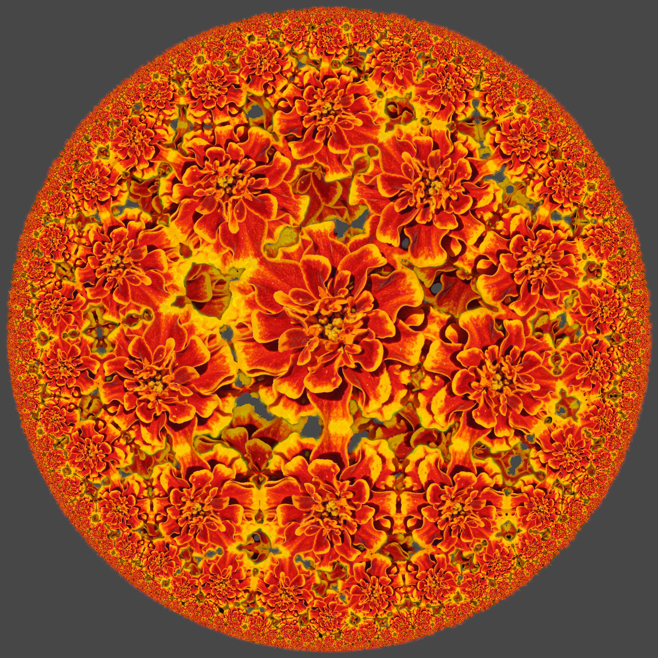 Floral Poincare Disk.jpg