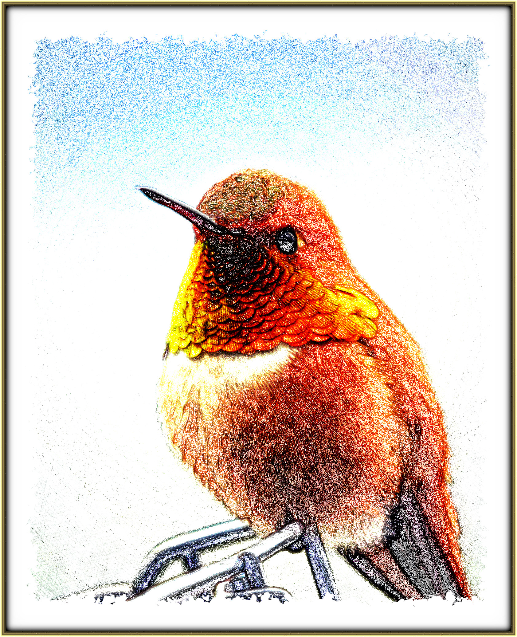 2024-01-09 12-20-55 hummingbird-5111260_1920 with a Drawing Effect (True,6,8,0,2).jpg