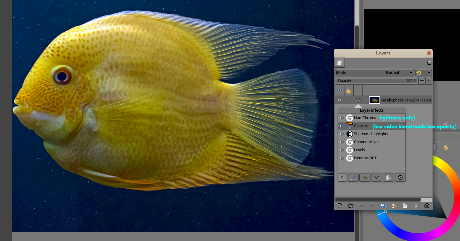 fishy_edits_non_destructive.png
