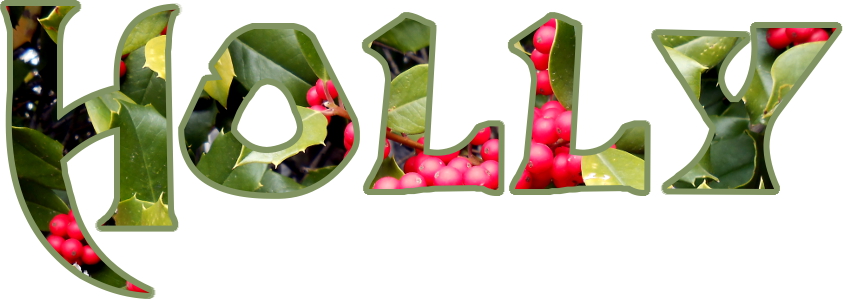 holly2.jpg