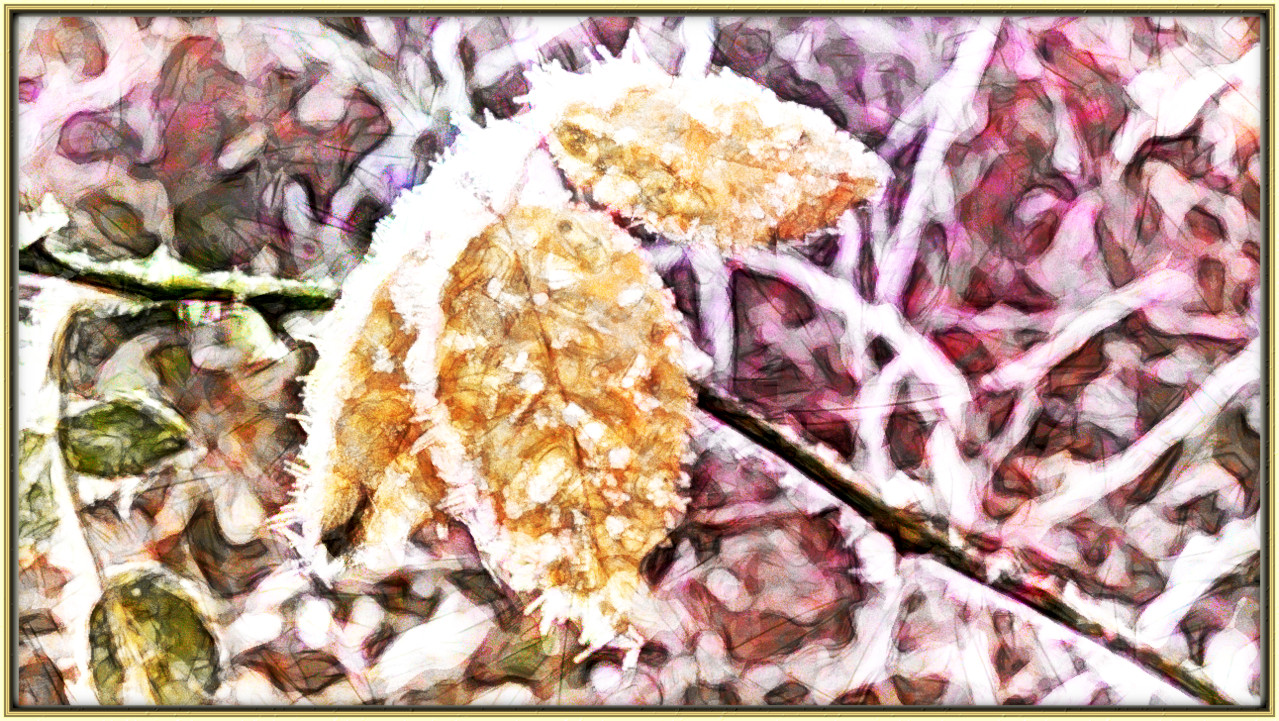 2024-01-21 07-23-11 img_20240111_104345463_by_simonalora_dgplnnl-fullview with a WaterSketch Effect 2024 (100.0,16.0,100.0,0.0,0,1.0,-1.0,6-1.0,4,0).jpeg