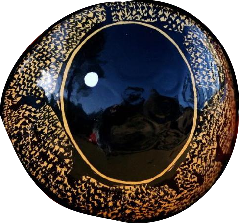 frog eye.png