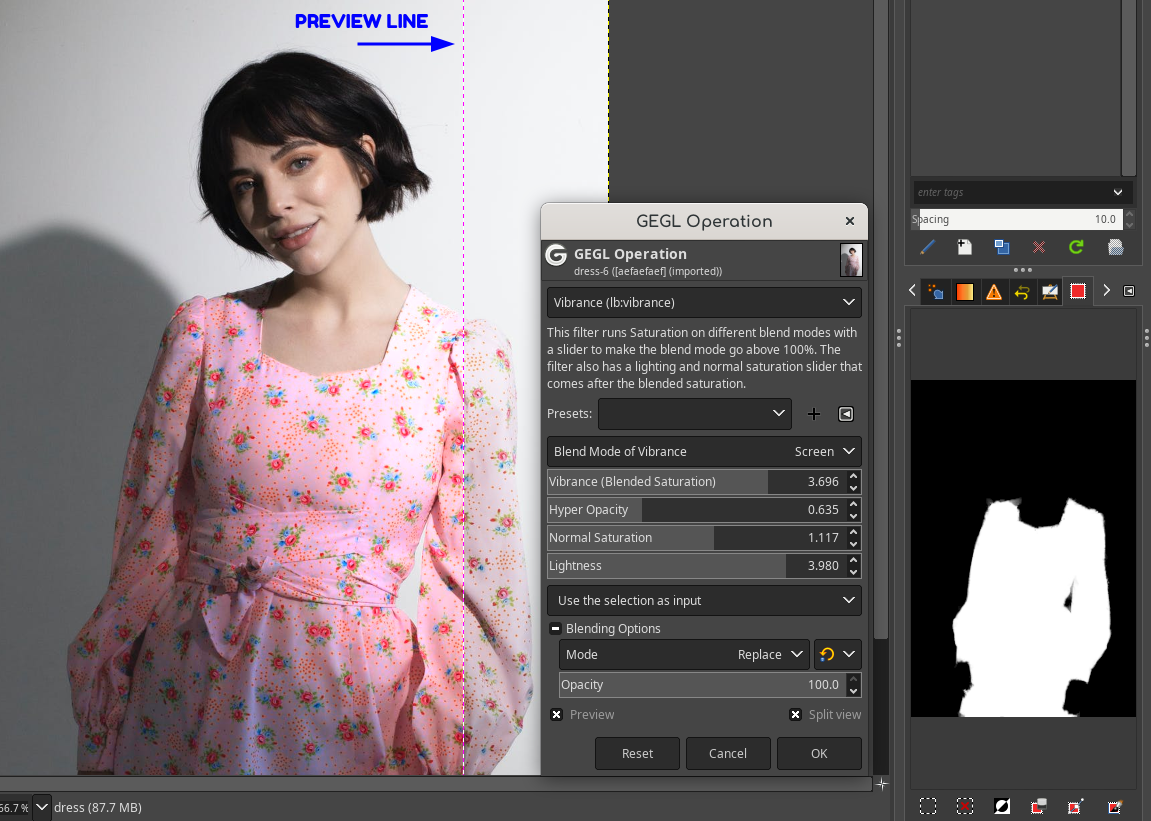 vibrance_actual_filter.png