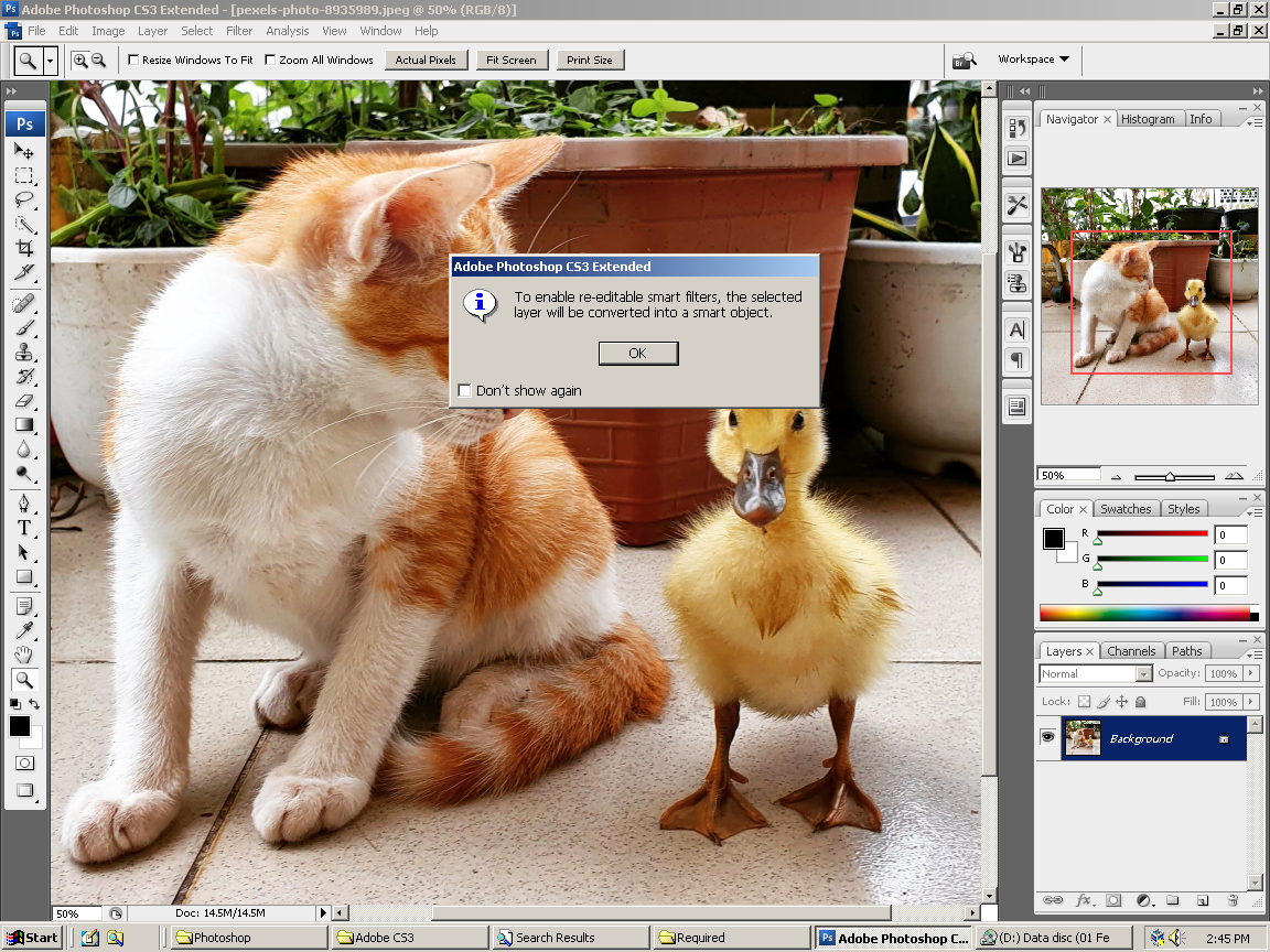 VirtualBox_Windows 2000_01_02_2024_14_45_16.png