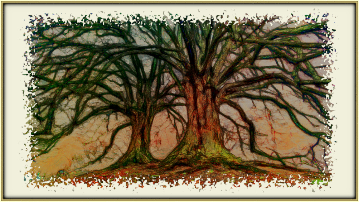 2024-02-04 16-39-21 tree-3097419_1280 with a WaterSketch Effect 2024 (-1.0, -1.0, -1.0, -1.0, -1.0, 1, 15.0, -1.0, 0, -1.0, 0, 0).jpeg