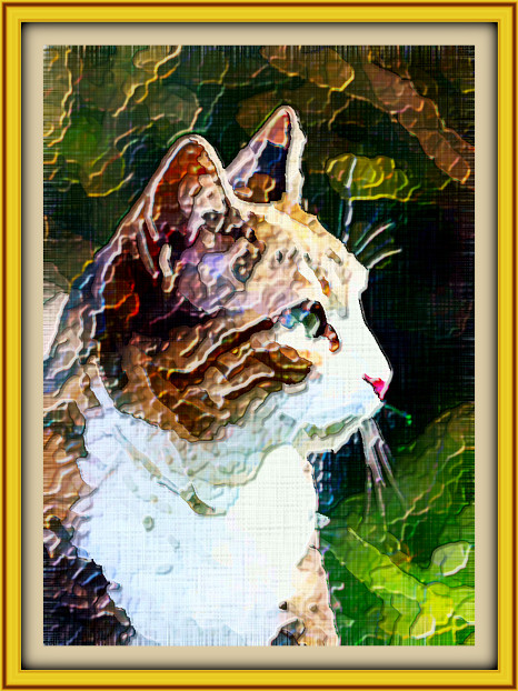 2024-02-04 11-39-13 cat-7954262_1280 with JVID Embossed Graphic Effect, parms=1, 3, 0, 9.5, 9.9, 1.1, 5.0, 0.jpg