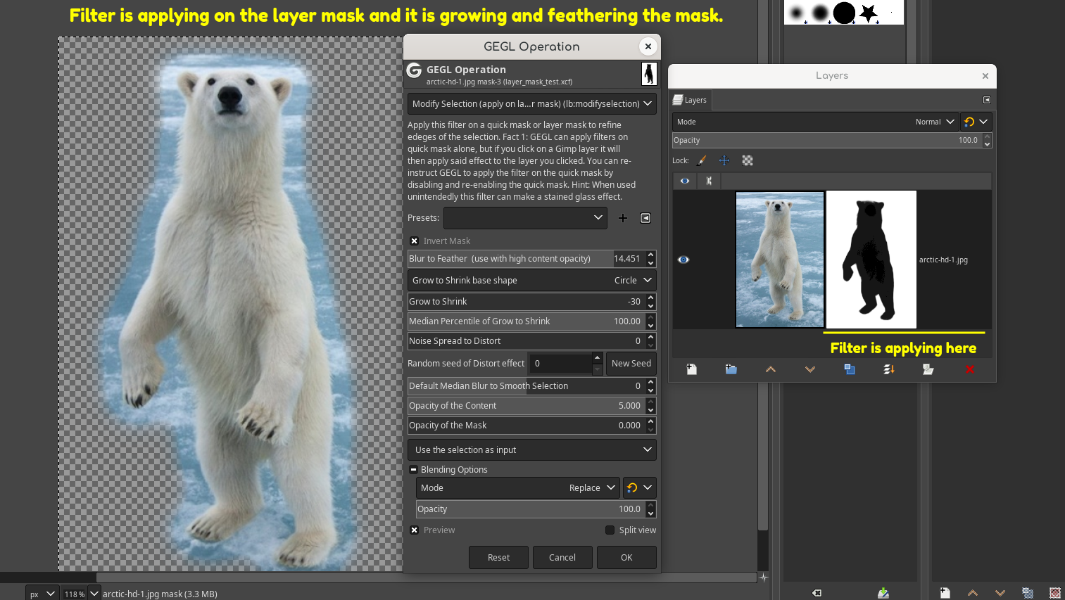 layer_mask_filter_preview.png