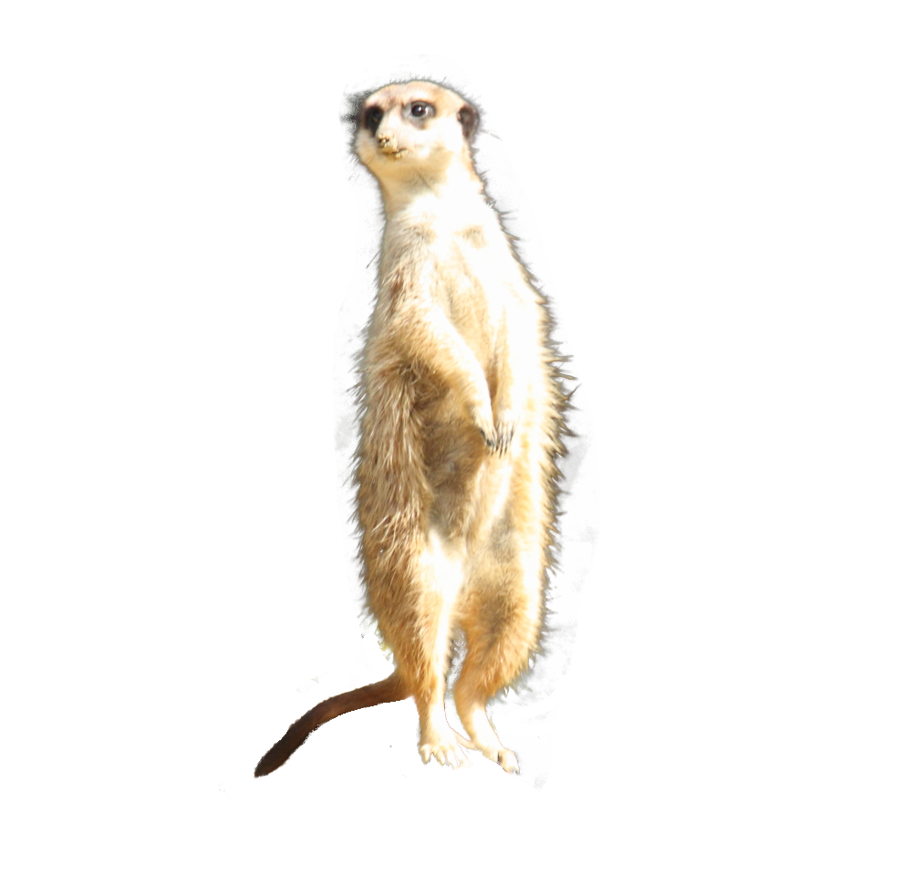 IMG_6059.png