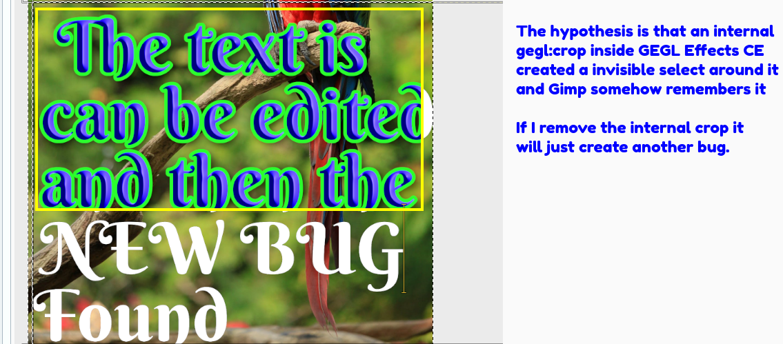 hypothesis_bug.png