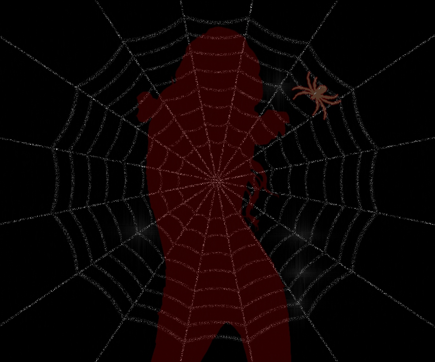 Widows Web.jpg