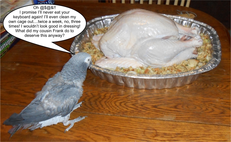 birds.jpg