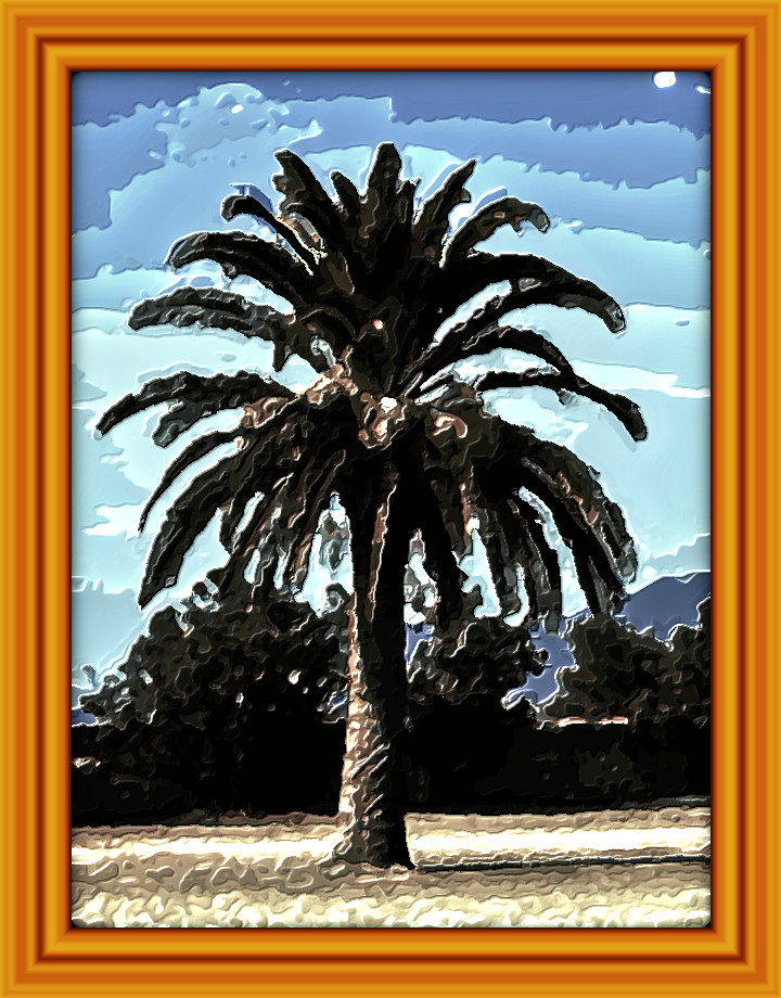 2024-02-21 11-58-51 palm-tree-224899_1280 with JVID Embossed Graphic Effect, parms=5, 32, 5.0, 2.0, 13.0, 9.9, 1.0, 0.0, 2.jpg