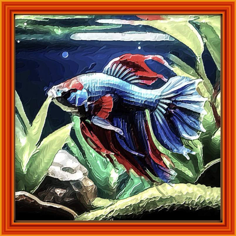 2024-02-21 18-02-15 Fish-8456616_1280 with JVID Embossed Graphic Effect, parms=1, 32.0, 5.0, 2.0, 13.5, 9.8, 1.0, 0.0, 2.jpg