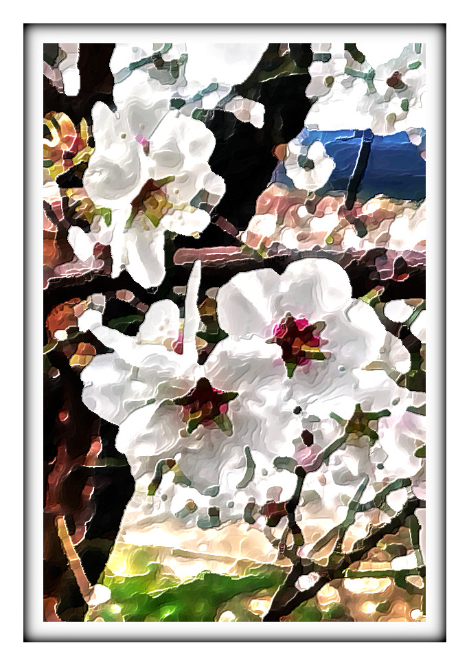 Almond-tree-e953-4a2c-9ff0-c25a2f8176e5 with JVID Embossed Graphic Effect, parms=1, 45.0, 5.0, 2.0, 15.0, 10.0, 1.0, 0.0, 0.JPG