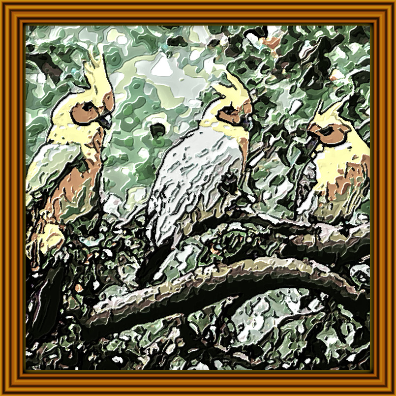 Birds_Exotic-Birds with JVID Embossed Graphic Effect, parms=1, 45.0, 5.0, 2.0, 15.0, 10.0, 1.0, 0.0, 0.JPG