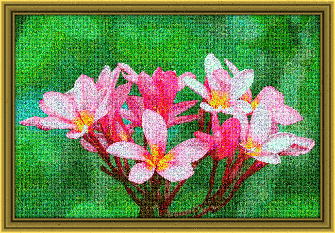 2024-02-27 08-38-19 flowers-6739599_1920, having a knitted look, on 40 colour areas, using pattern Knit_New_Burlap200.jpg