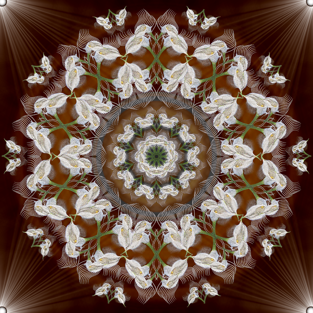 mandala_tube_flower_brush.png