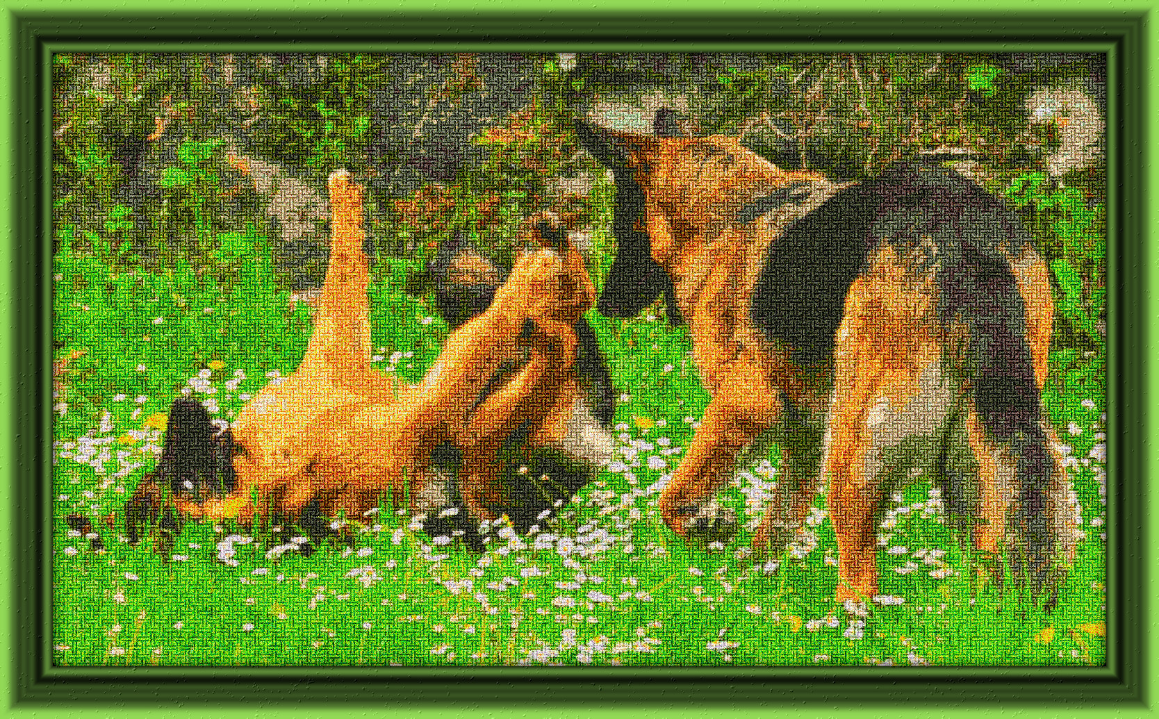 2024-03-02 09-47-04 dog_stock_8_by_luda_stock_d3hdht7-414w-2x, having a knitted look, on 25 colour areas, using pattern Knit_New_IssaA200, with sat adj.jpg