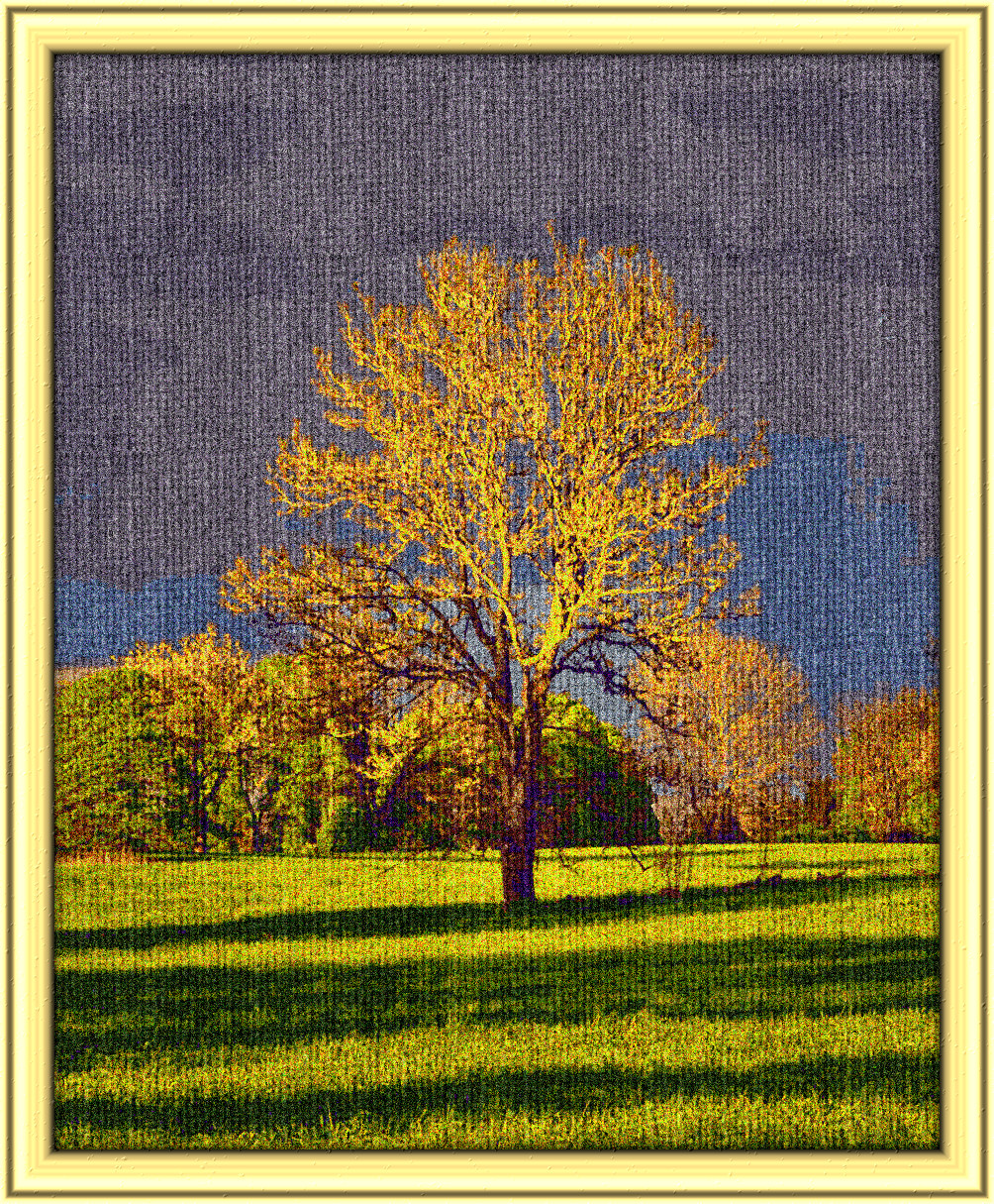 2024-03-05 09-37-43 tree_by_ravenslane_d4iz9j0-pre, having a knitted look, on 21 colour areas, using pattern Knit_New_Surf044C200.jpg