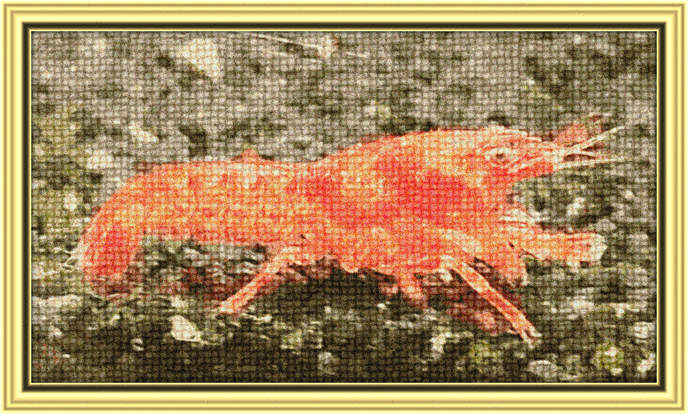 2024-03-08 06-25-03 vid_20240203_145104860_2___frame_at_1m48s_jpgi_by_simonalora_dh0lga0-fullview, having a knitted look, on 21 colour areas, using pattern Knit_New_Surf002C200.jpg