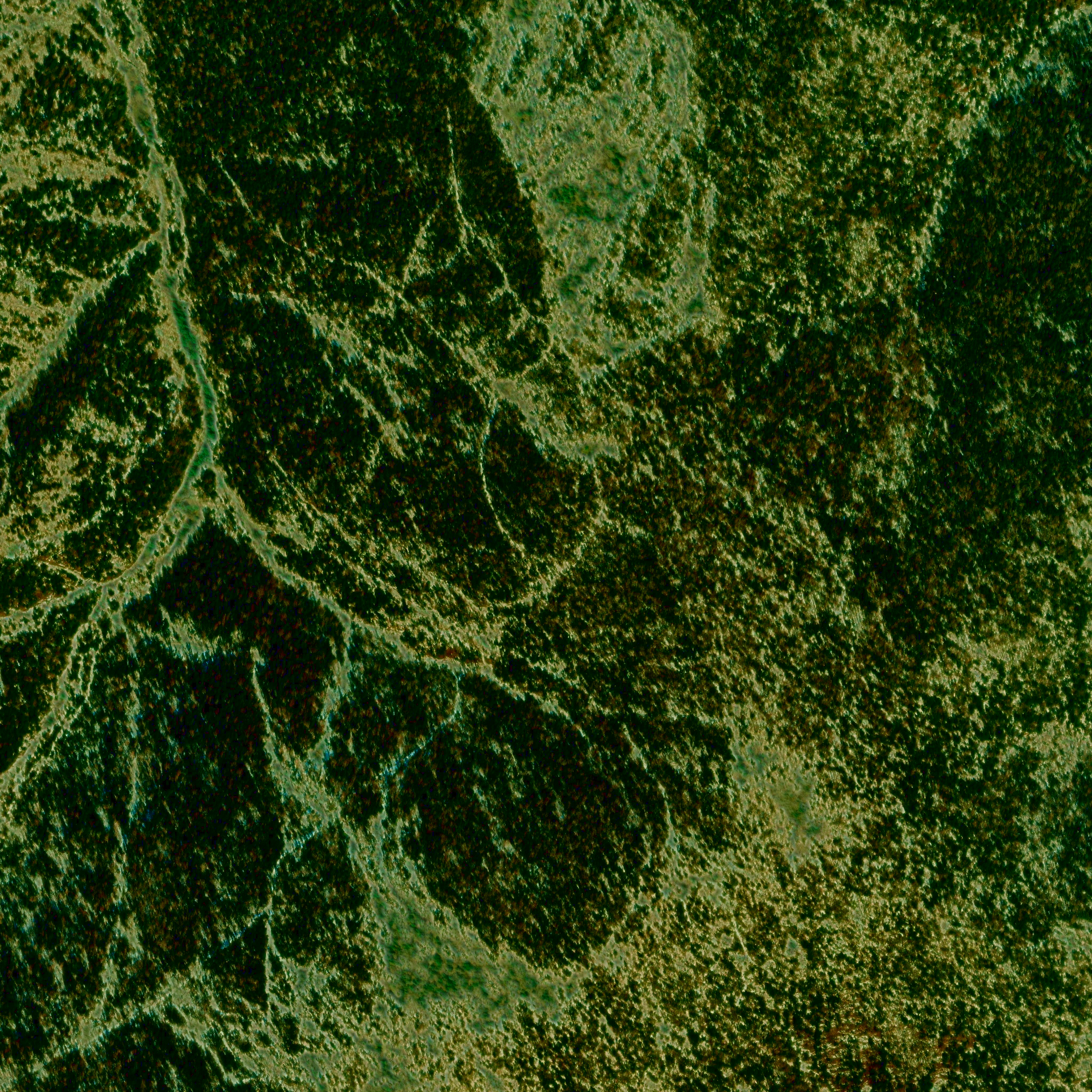 94752_229216_USA218.jpg