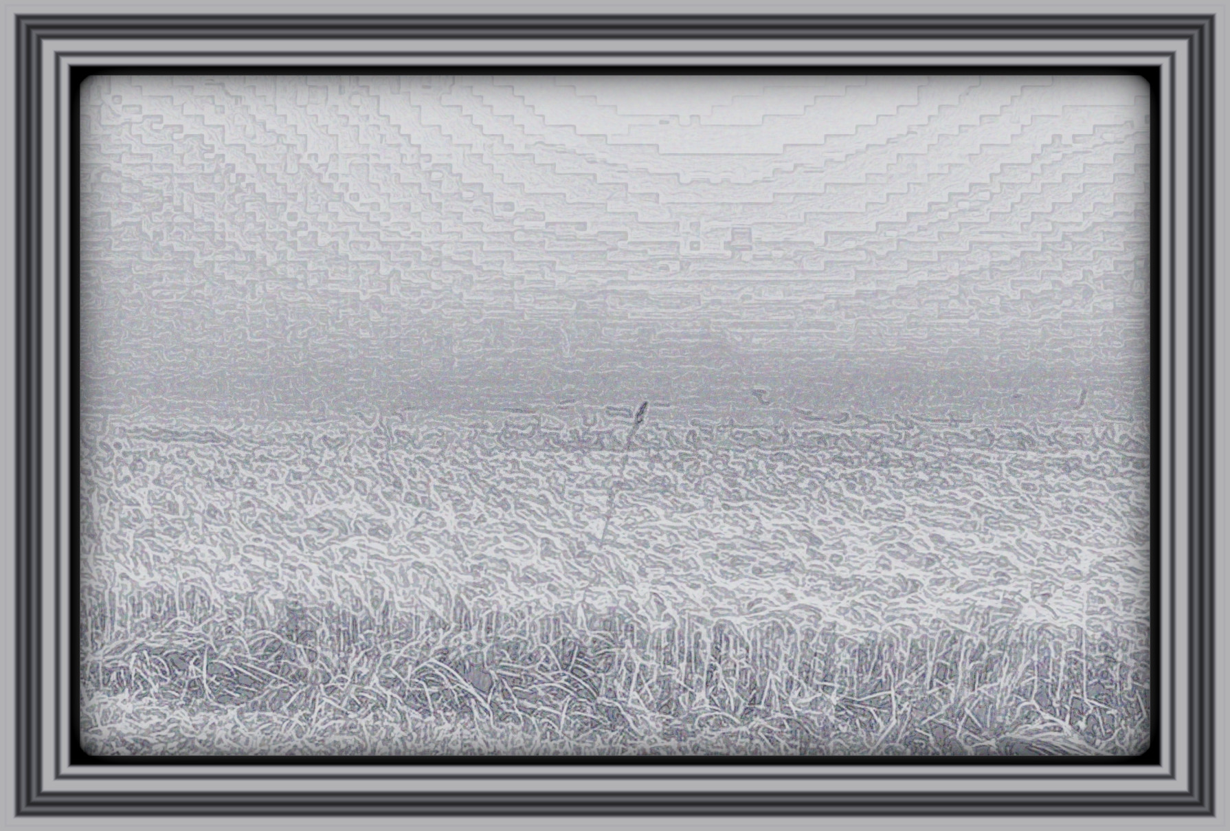 2024-03-27 09-42-15 grey_field__stock_by_ravenslane_dh4gvpe-414w-2x with Lines Art effect, preset=3000,35.0,3.5,Pen Drawing,0,[200,201,208],3,1.jpg