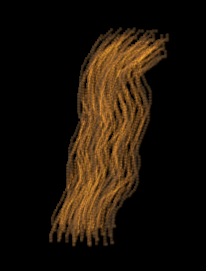 brush_hair.png