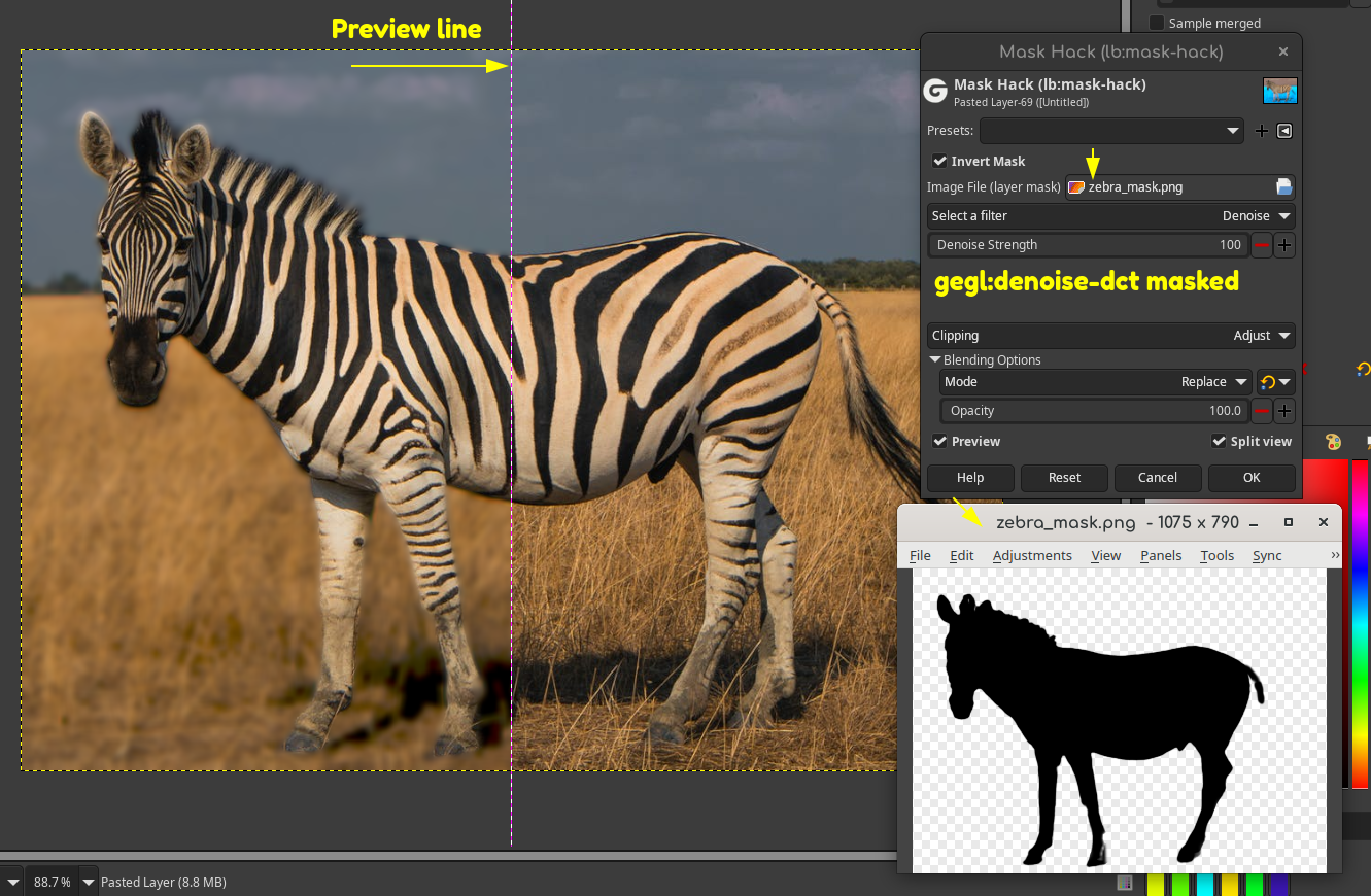 masking_zebra.png