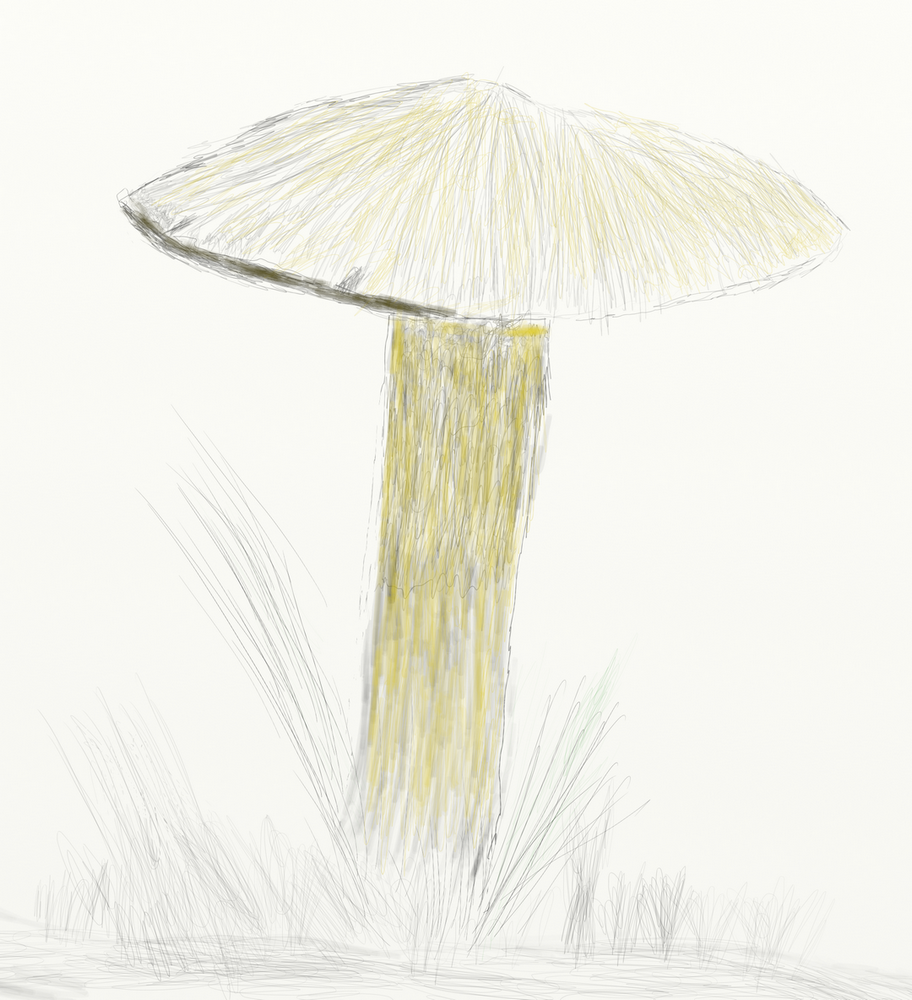 shroom.png