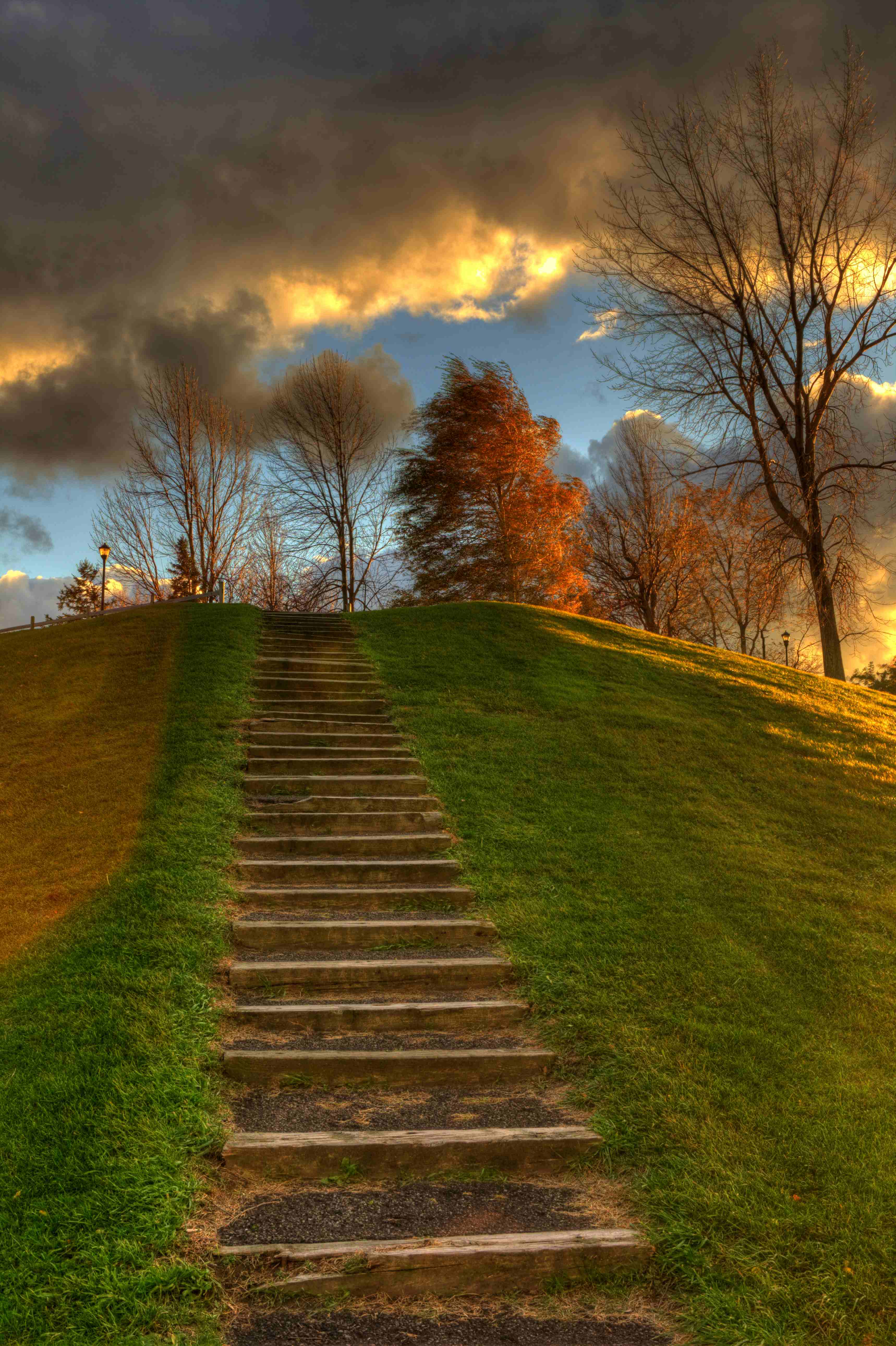 Steps.jpg