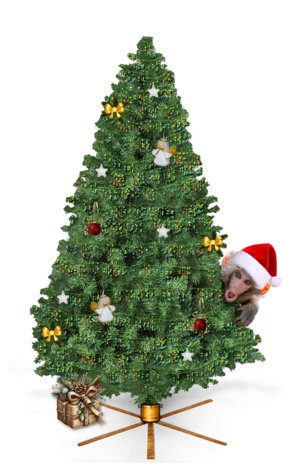 3612_tintran+ella-tree.png