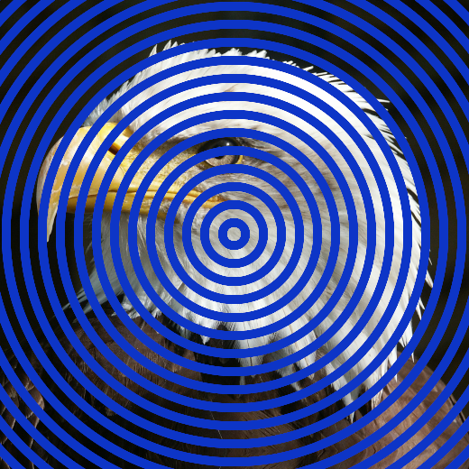 Ellipse.png