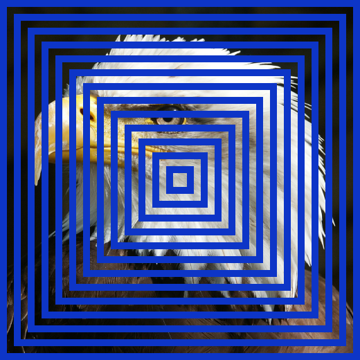 Rectangle.png