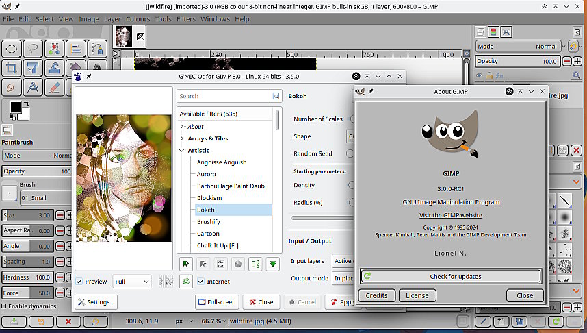 rc1-linux.jpg