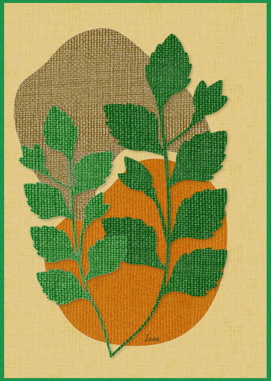 botany-Boho_Issa.jpg