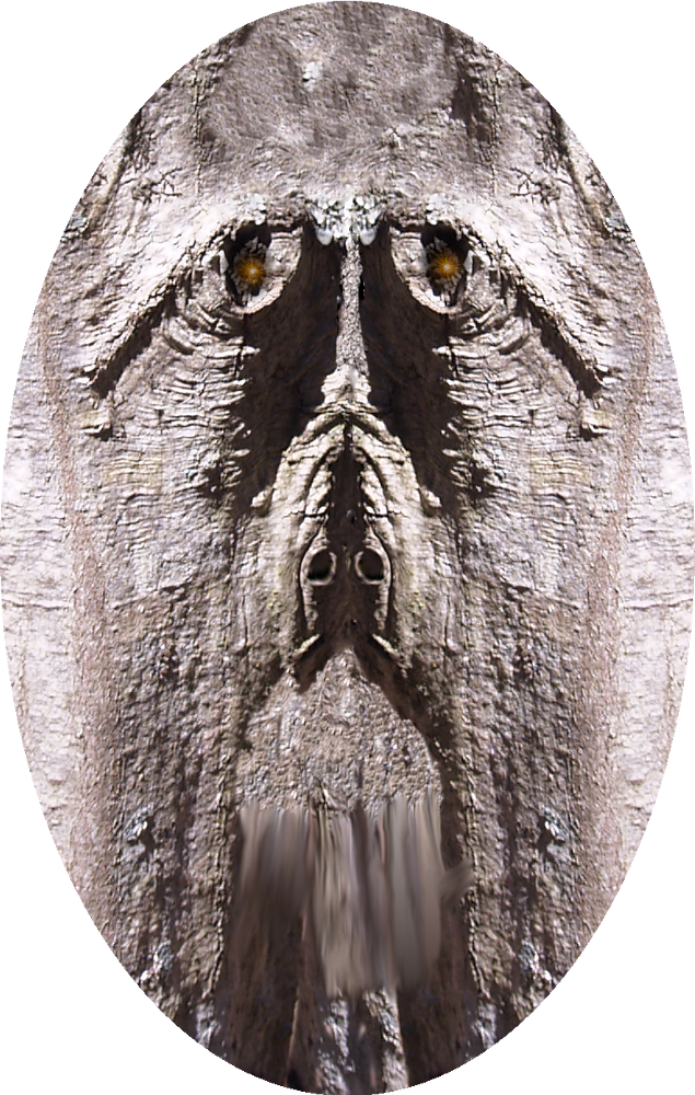 face1.png