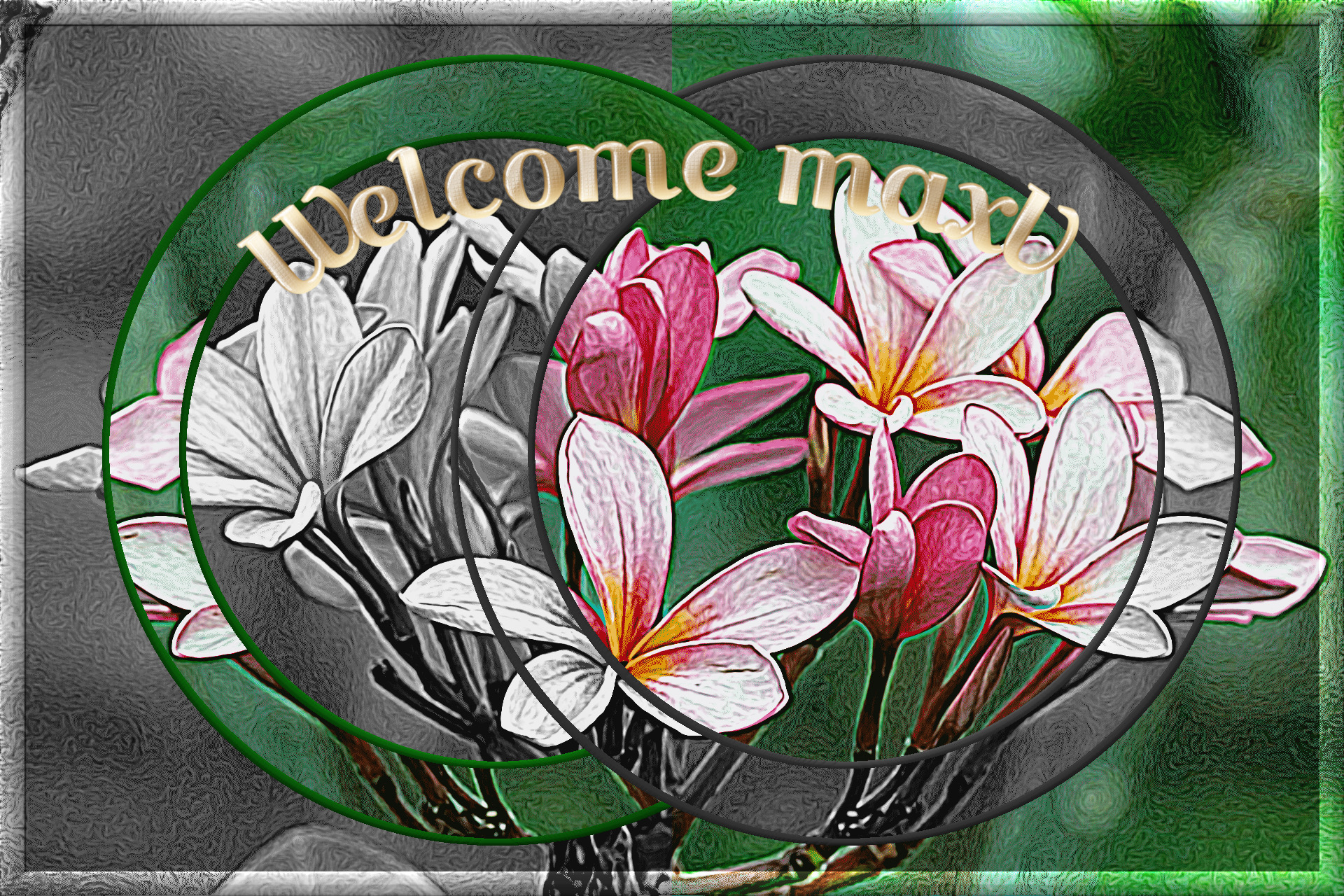 Welcome-maxV.jpg