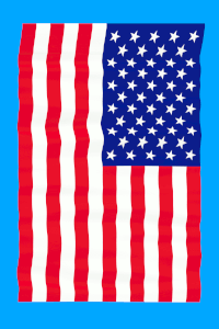 usa.gif