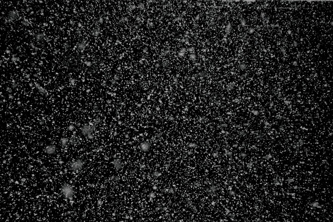 Snow Storm-01.jpg
