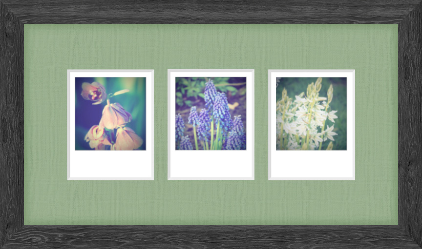 Polaroid Frame-02.jpg