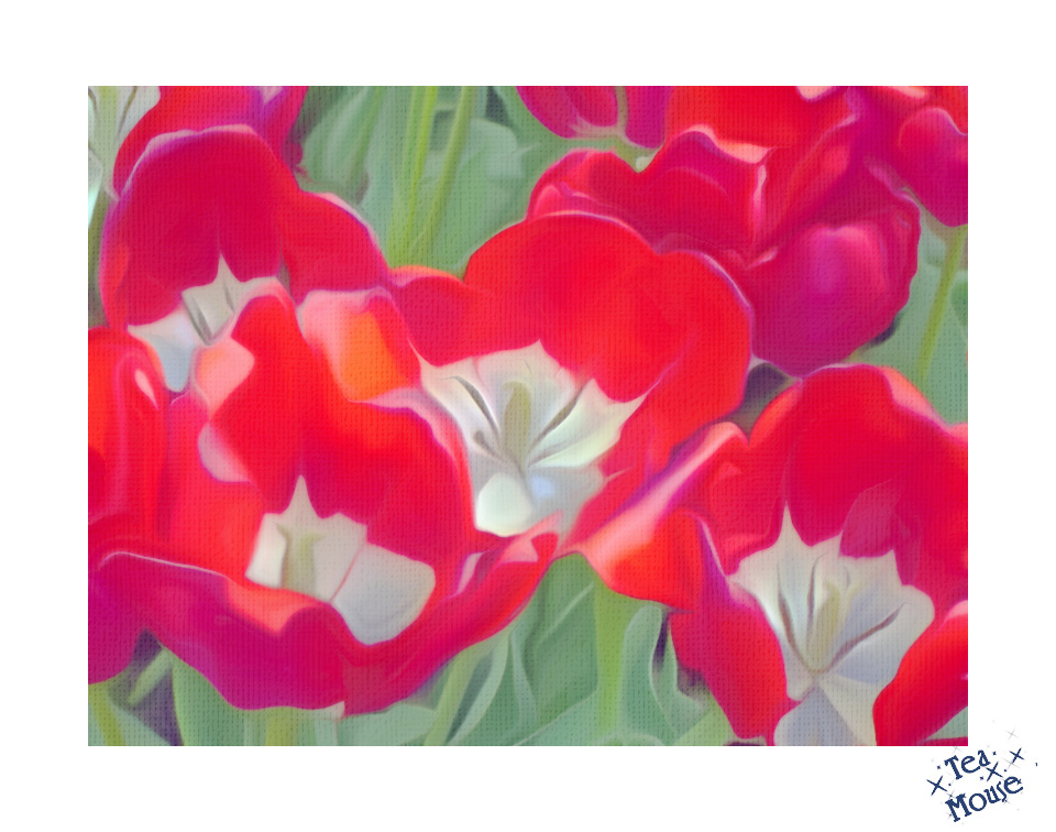 Tulips-Red.jpg