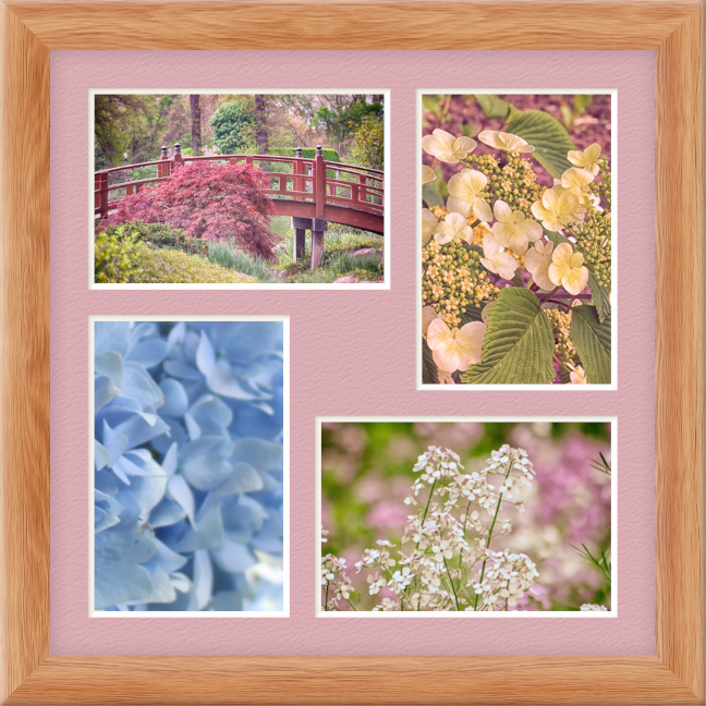 4 Image Light Wood Desert Rose 4x6.jpg