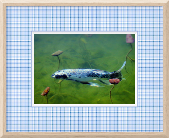 Plaid Blue 5x7 Frame.jpg