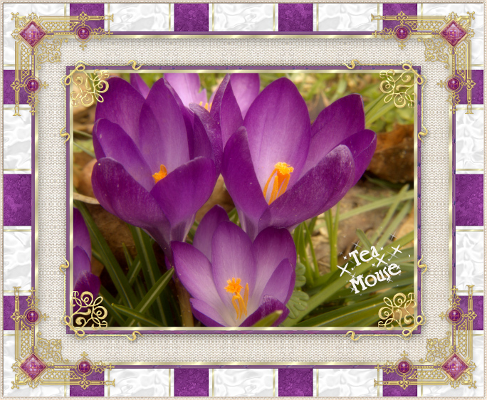 victorian-purple.jpg